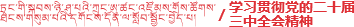 学习贯彻党的二十届三中全会精神